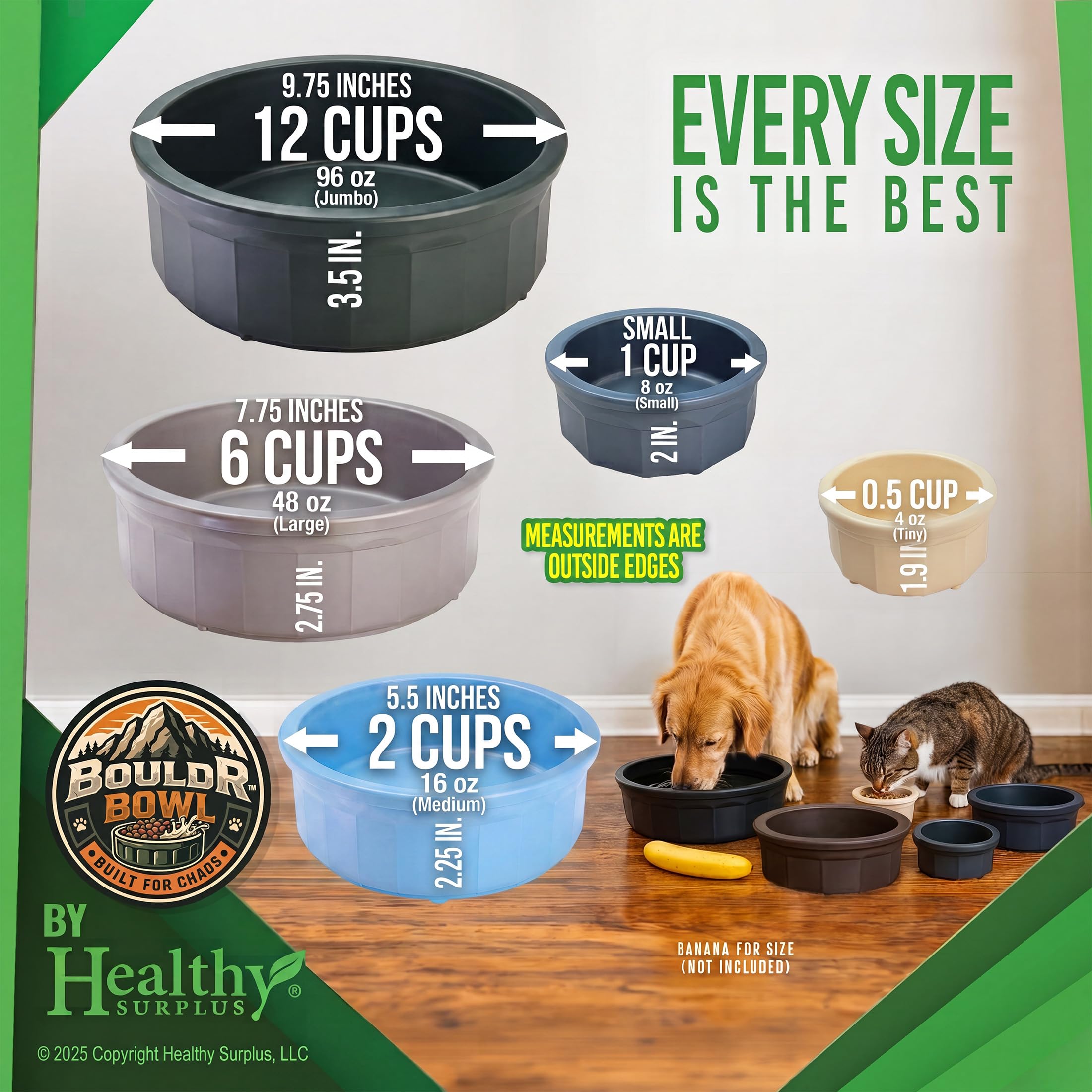 Healthy Surplus gamelle en usage avec chat ménageage propre et pratique