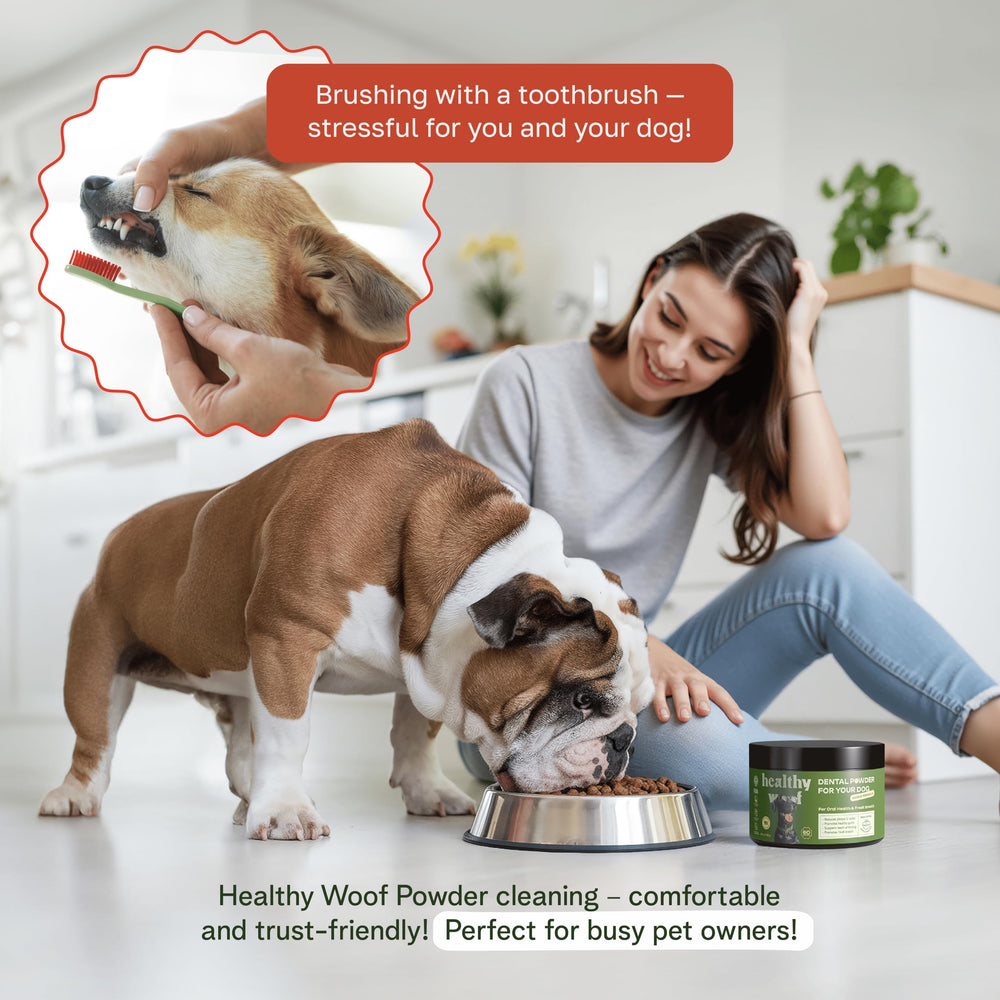Healthy Woof bouillon préparé dans une gamelle pour appétence accrue