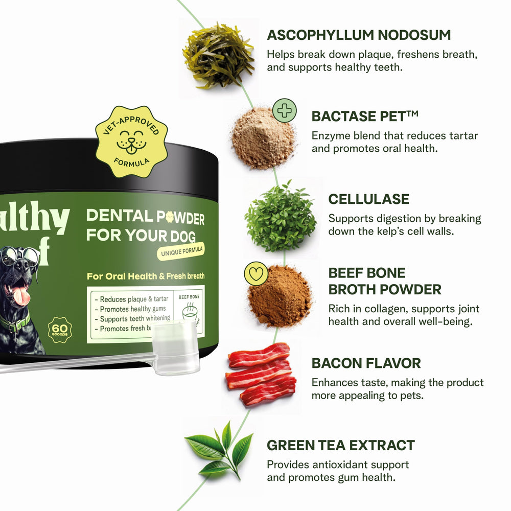 Healthy Woof kelp et extrait de thé vert illustrant ingrédients naturels