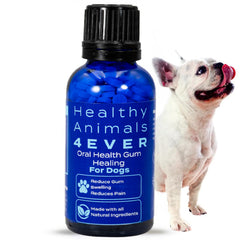 HealthyAnimals4Ever boîte avant montrant 300 comprimés pour confort gingival