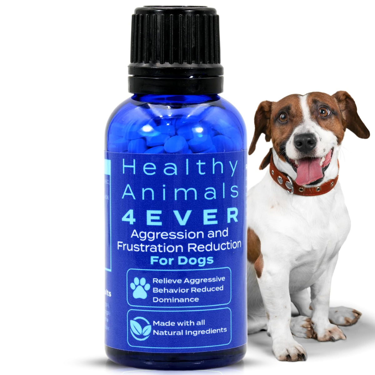 HealthyAnimals4Ever boîte devant montrant le format kennel et avantage économique