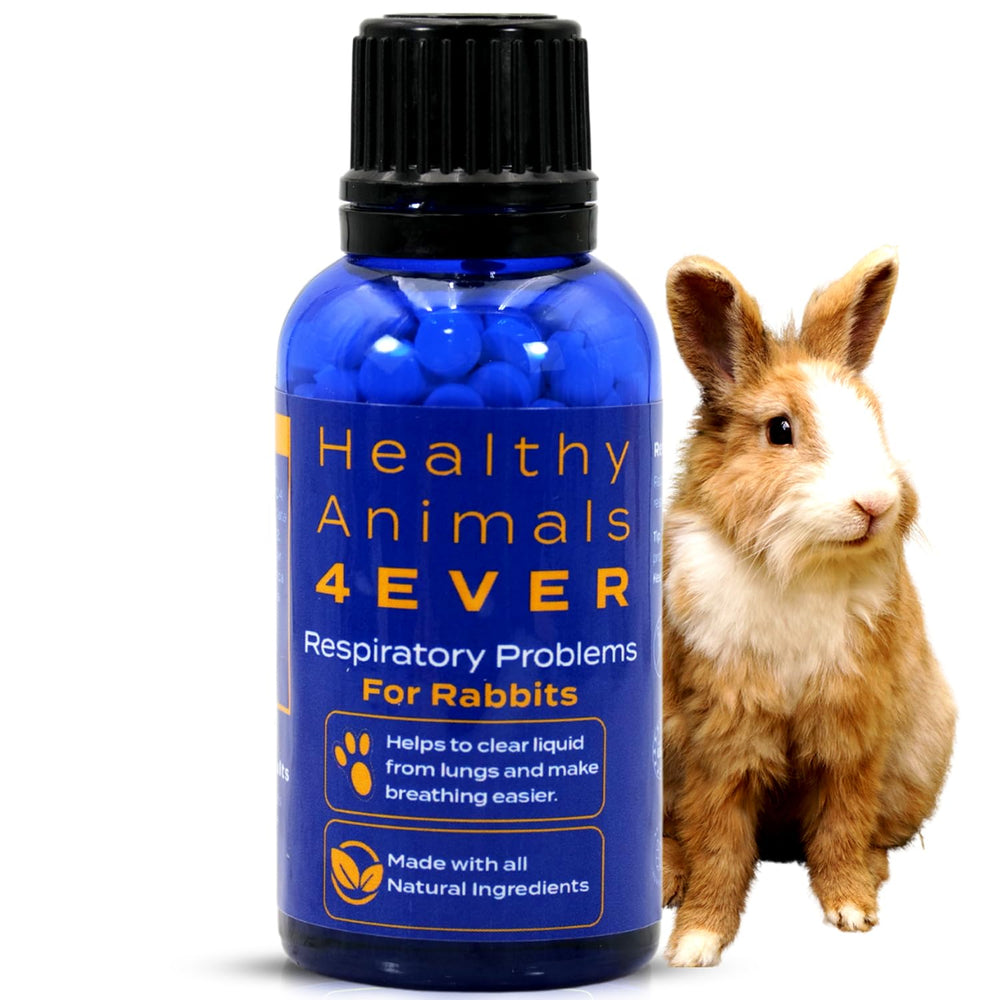 HealthyAnimals4Ever boîte face montrant conditionnement pratique et sécurité