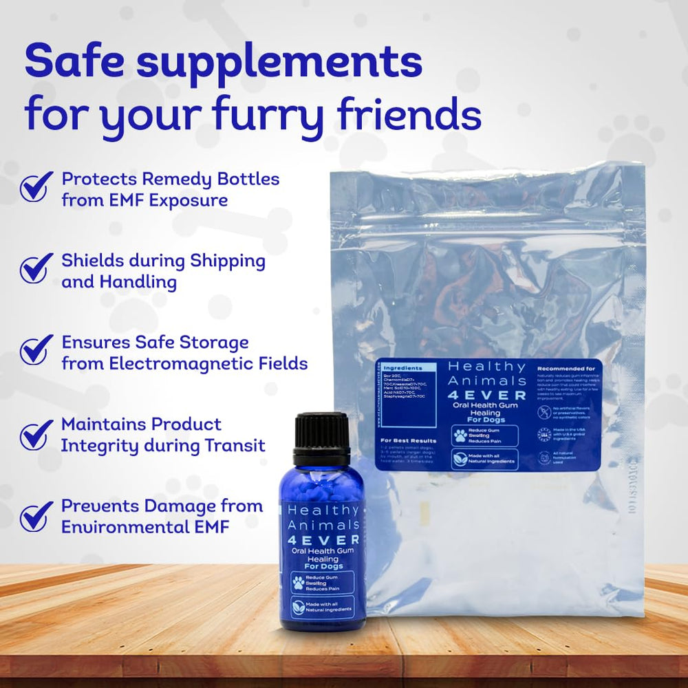 HealthyAnimals4Ever chien heureux en extérieur illustrant bien-être buccal