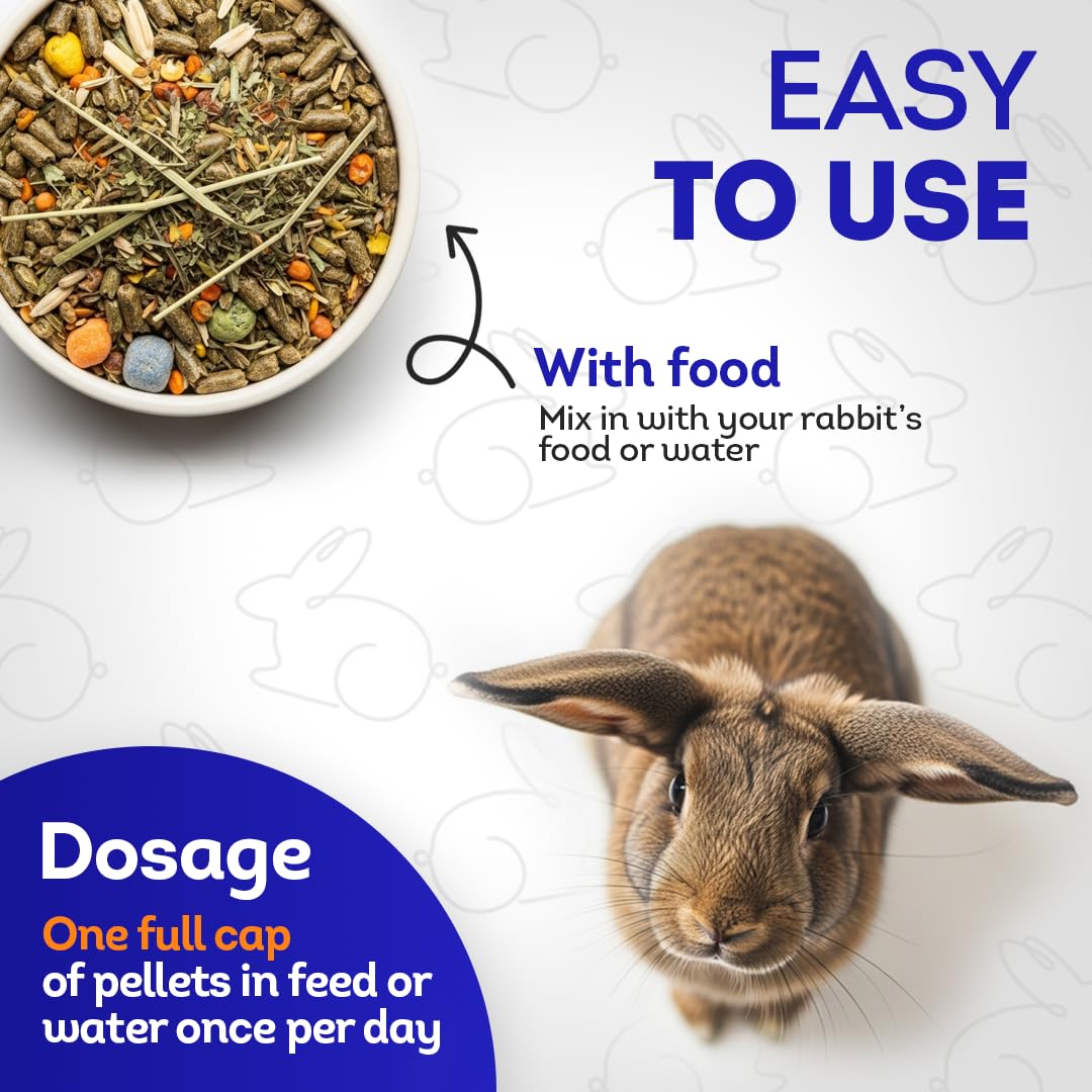 HealthyAnimals4Ever dosage tablette montrant portion pour usage quotidien