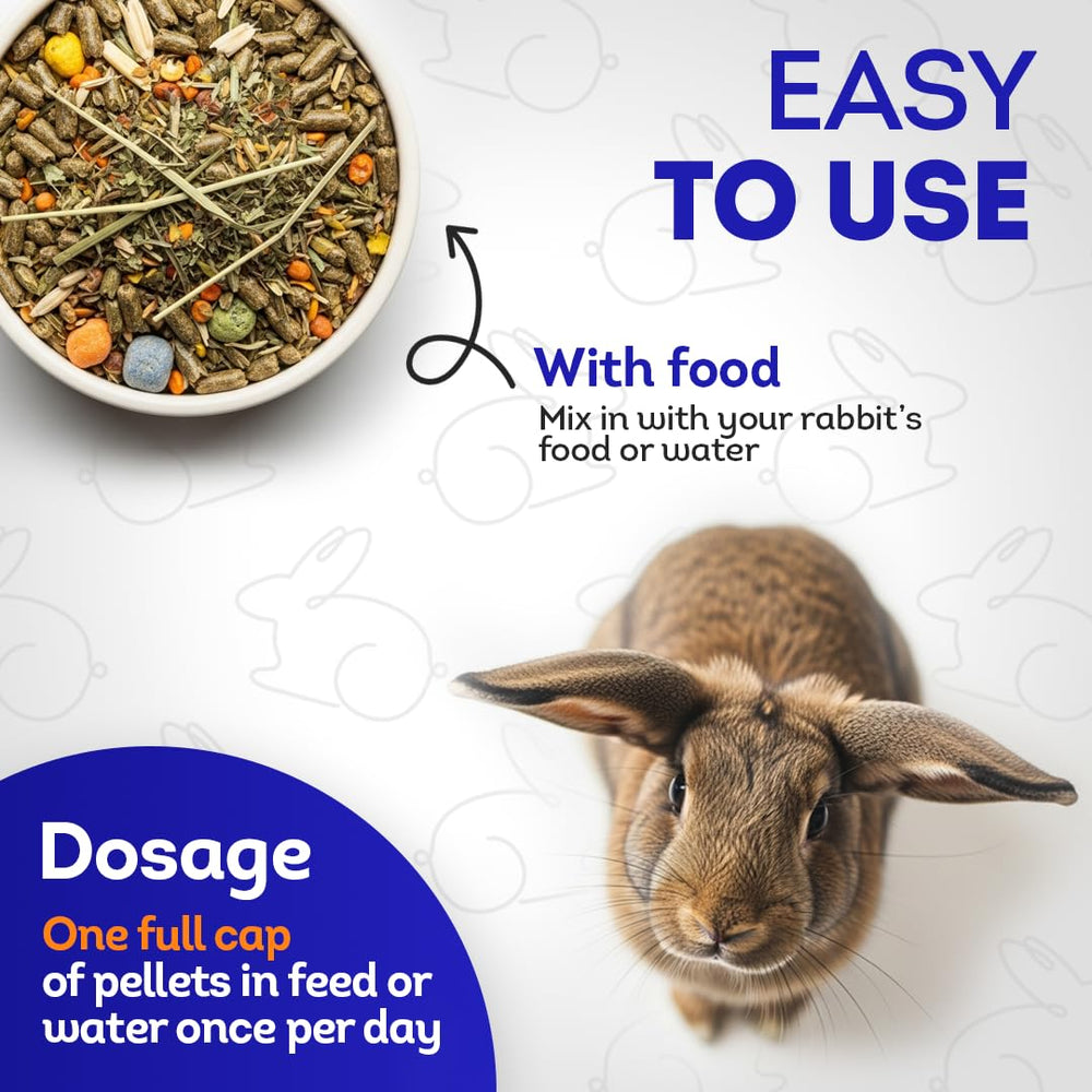 HealthyAnimals4Ever dosage tablette montrant portion pour usage quotidien