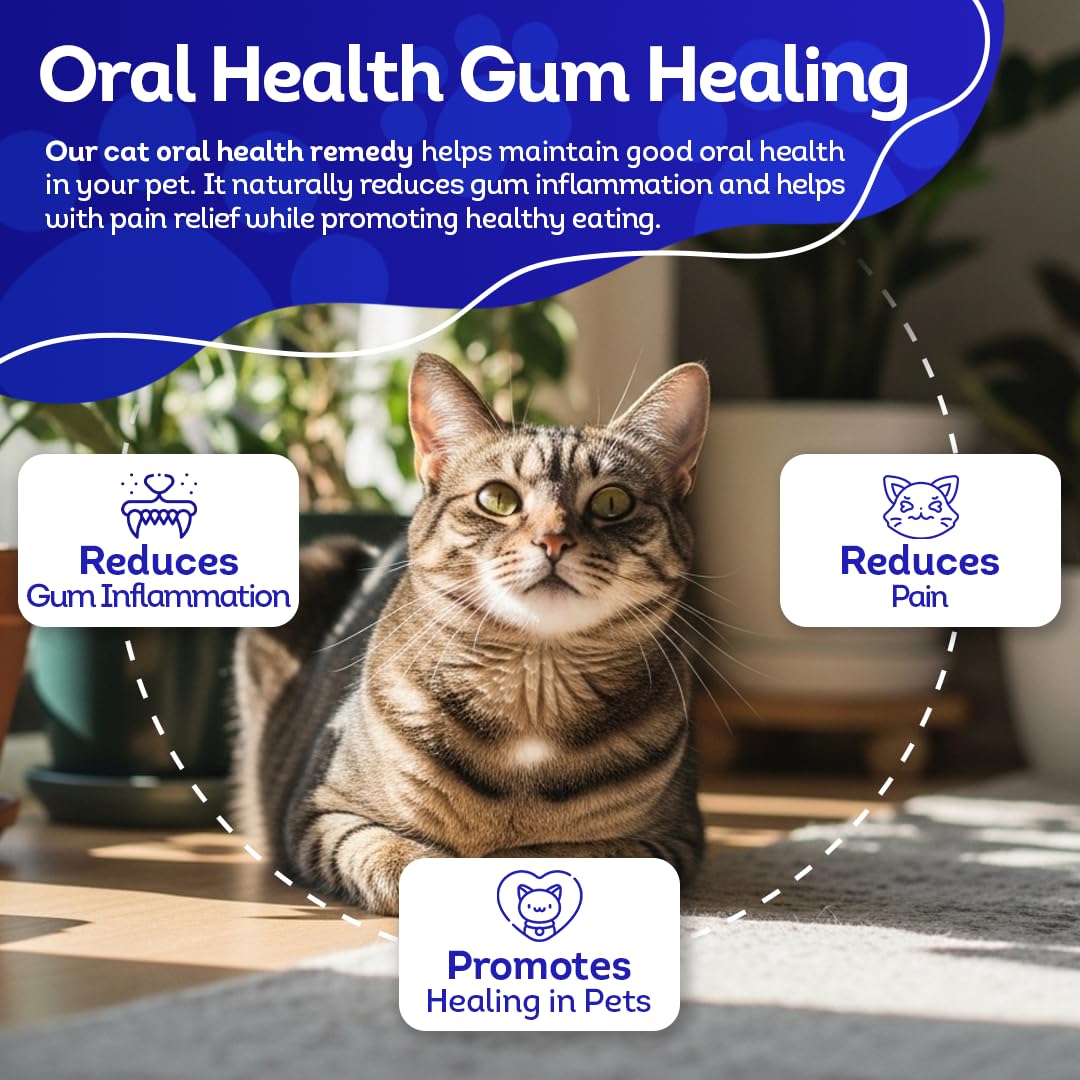 HealthyAnimals4Ever mains administrant comprimé, prise sans stress
