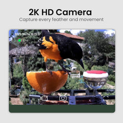 HEAPETS détail de la caméra 2K pour images nettes et identification précise