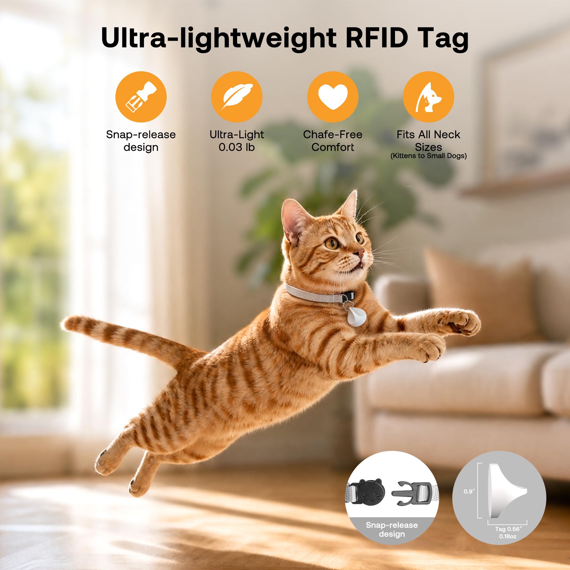 HEAPETS comparaison d'échelle avec un chat, montre la taille adaptée
