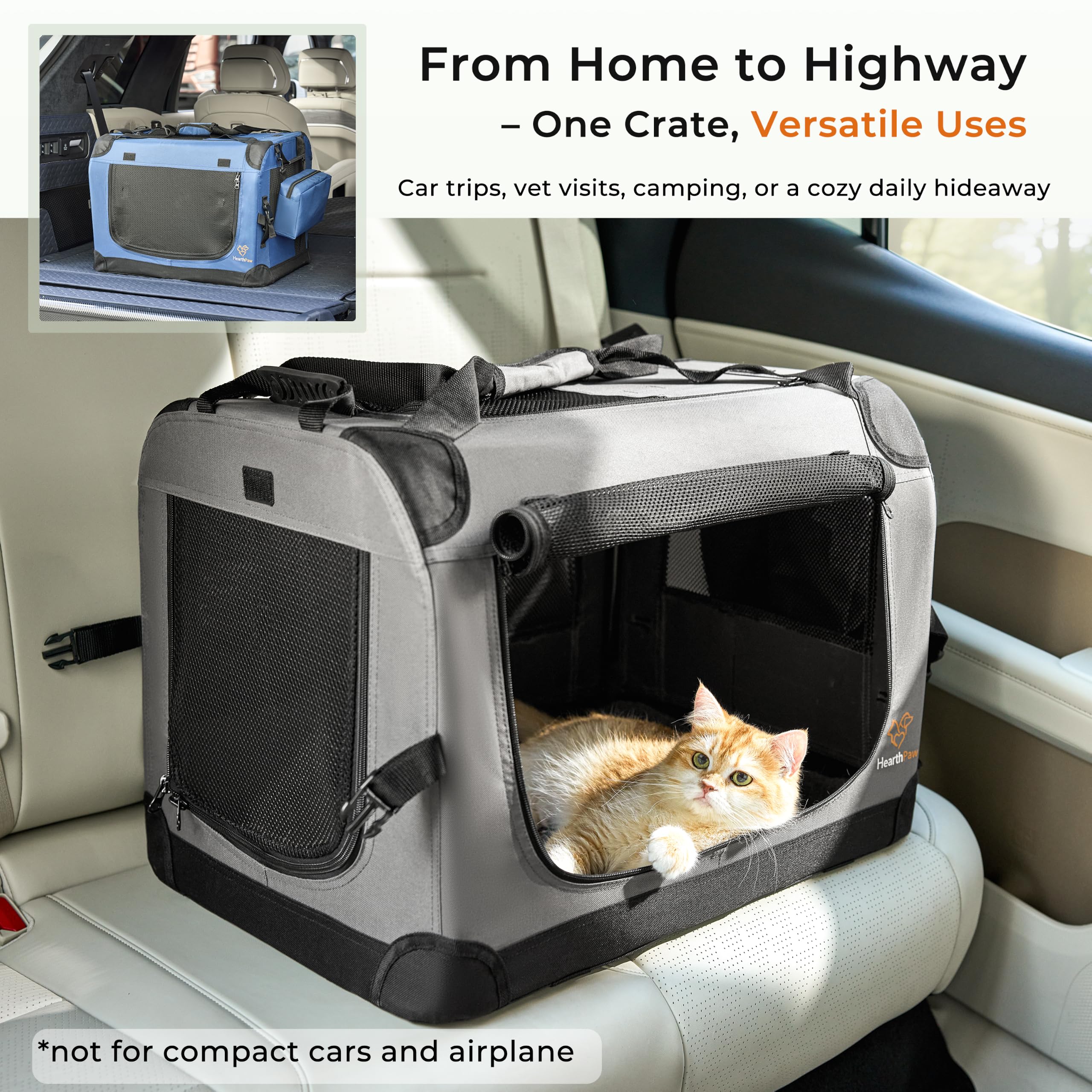 HearthPaw comparaison taille montrant espace pour grand chat ou deux