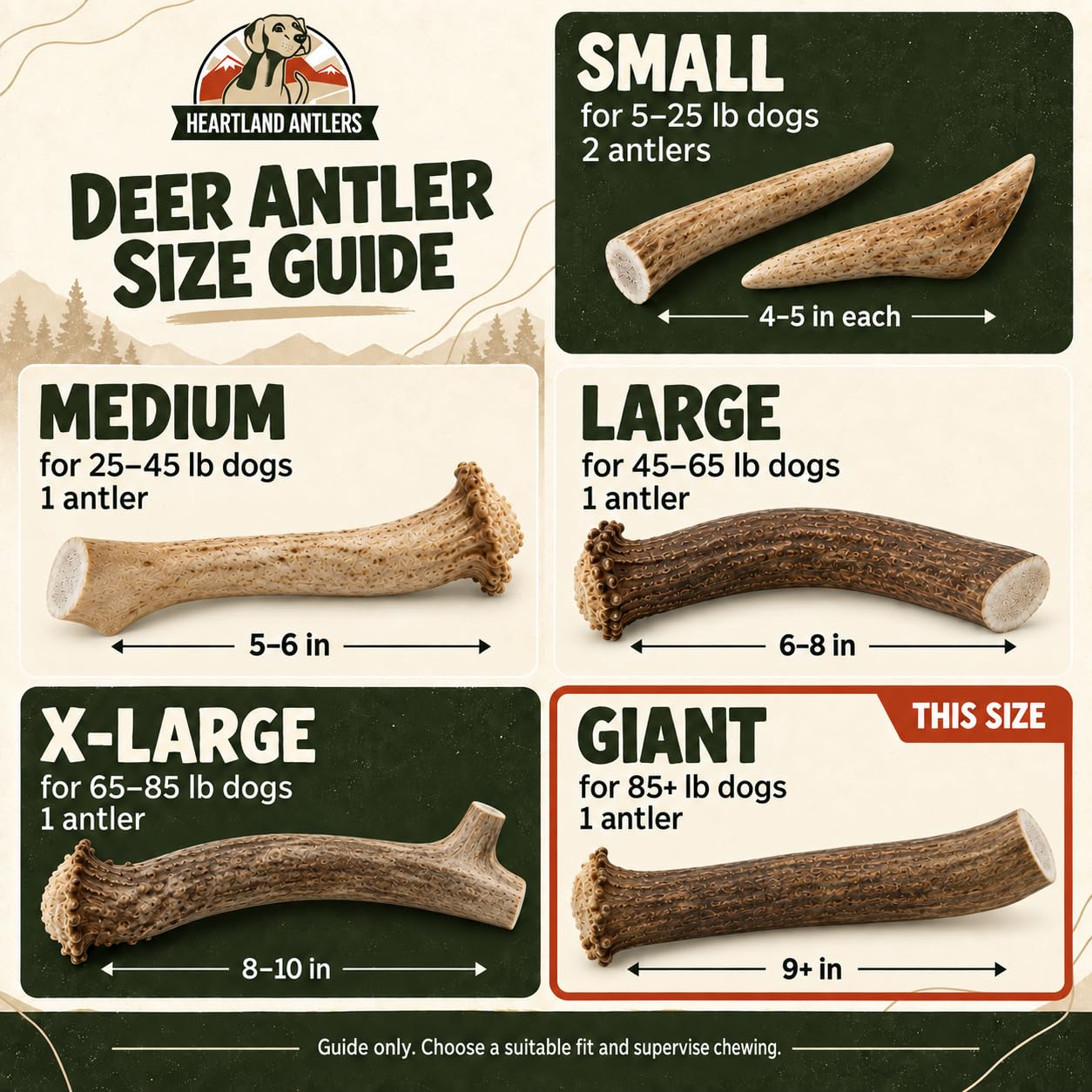 Heartland Antlers détail de la pointe arrondie pour sécurité