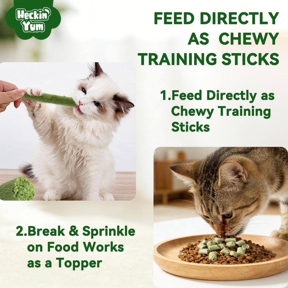 Heckin Yum chat savourant une friandise pour récompense saine