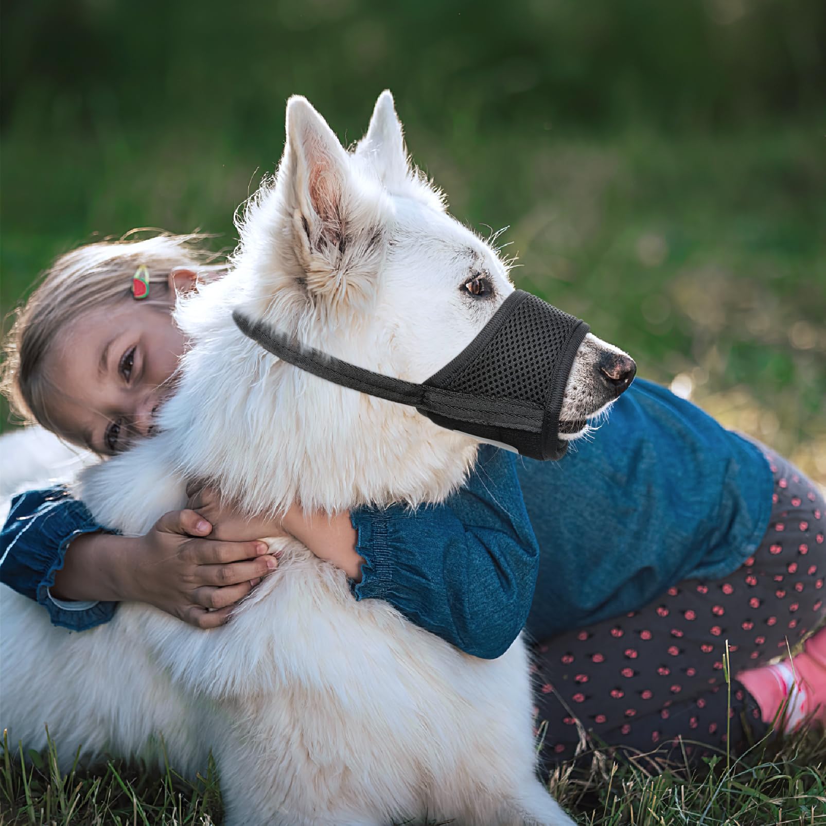 HEELE chien buvant avec muselière HEELE ouvrant pour boire
