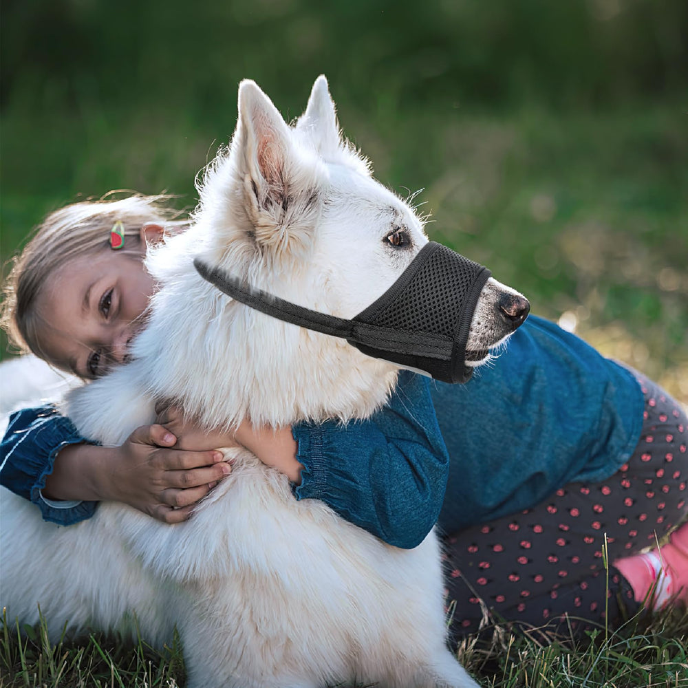 HEELE chien buvant avec muselière HEELE ouvrant pour boire