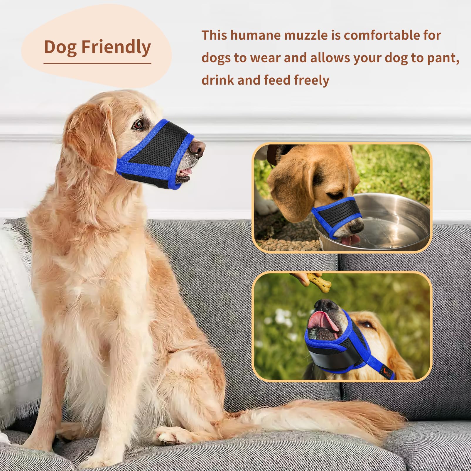 HEELE chien portant la muselière en train de boire démontrant fonction ‘drinkable’