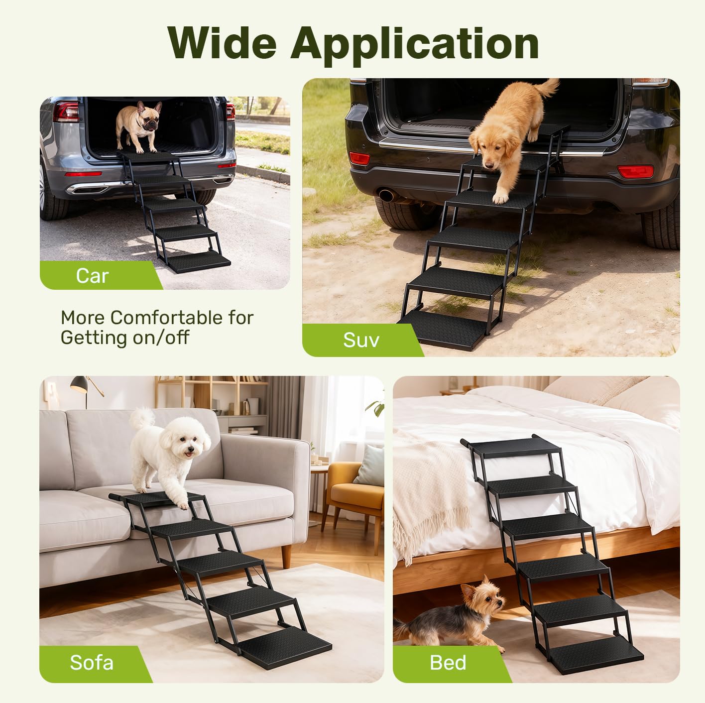 Heeyoo chien grand à côté de l’escalier montrant échelle adaptée