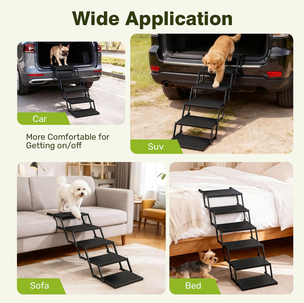 Heeyoo chien grand à côté de l’escalier montrant échelle adaptée