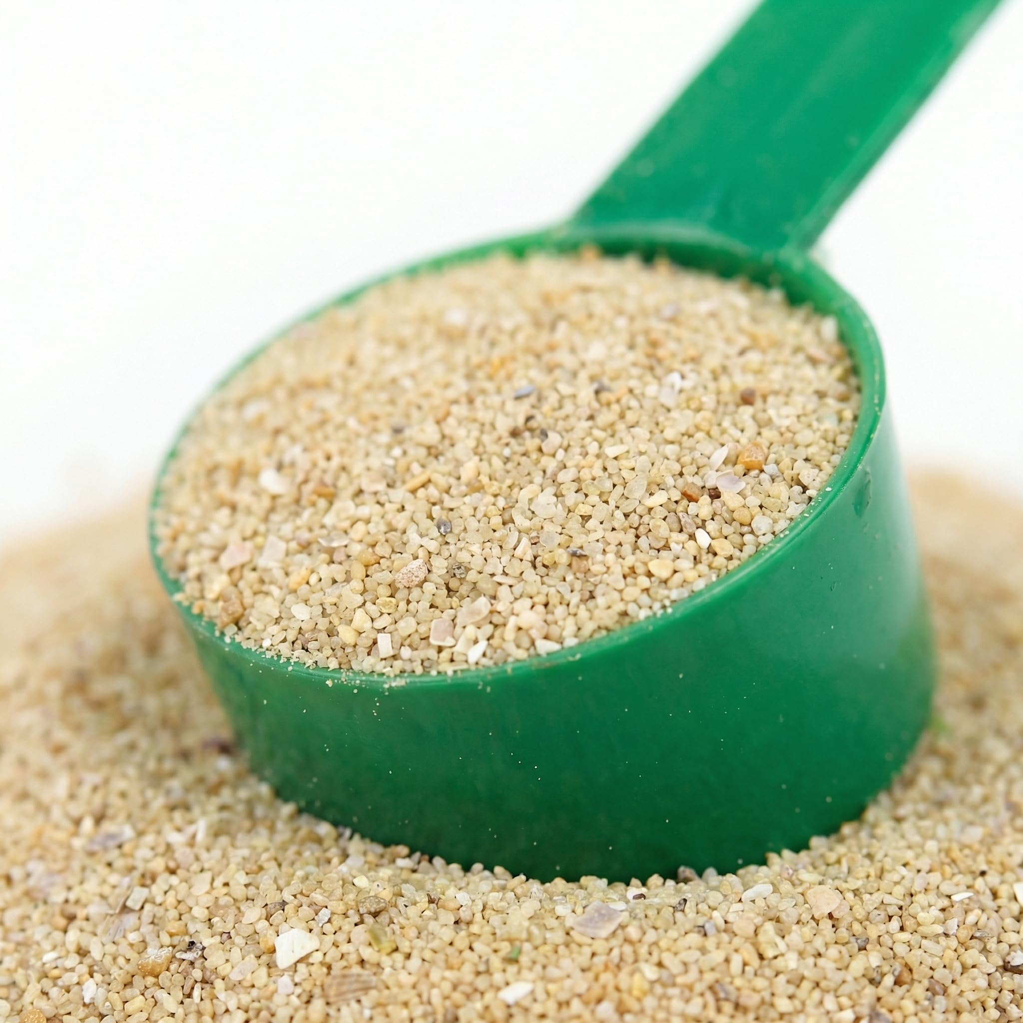 Cheval au pré consommant ration supplémentée HEIRO pour soutien quotidien du métabolisme