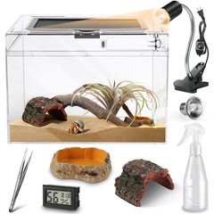 HELIME terrarium vue frontale transparent pour observation sécurisée