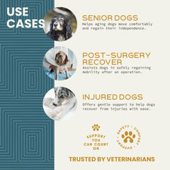 Help 'Em Up harnais Small ajusté sur chien démontrant ajustement précis