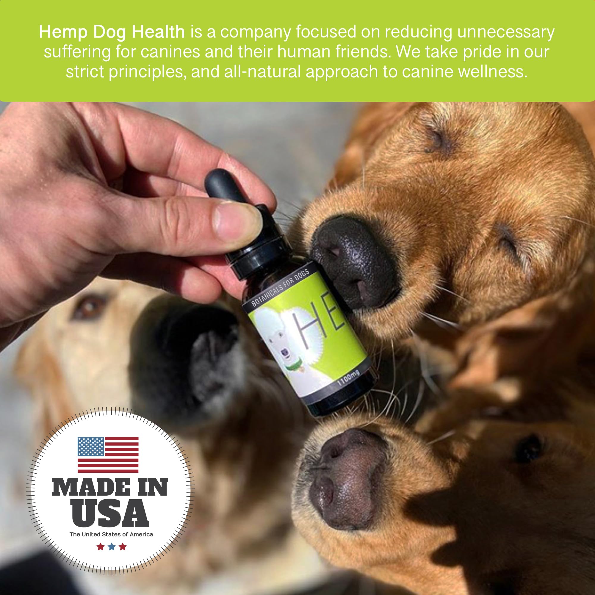 Hemp Dog Health démonstration application sur gencive pour facilité