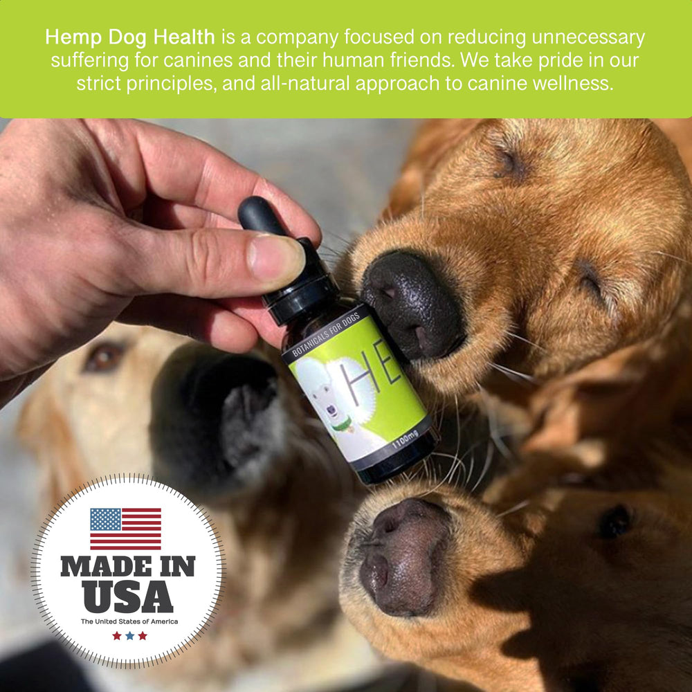 Hemp Dog Health démonstration application sur gencive pour facilité