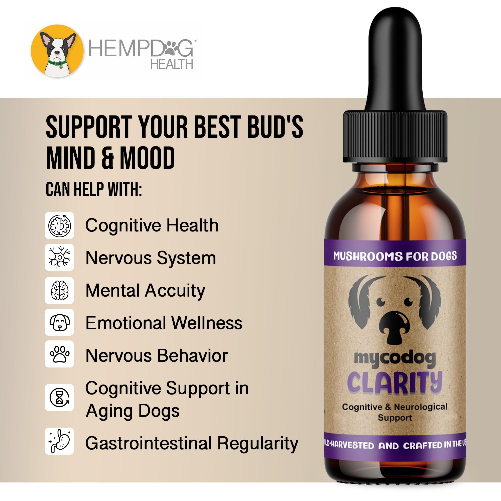 Hemp Dog Health MycoDog Clarity administré à un chien améliore appétence au repas
