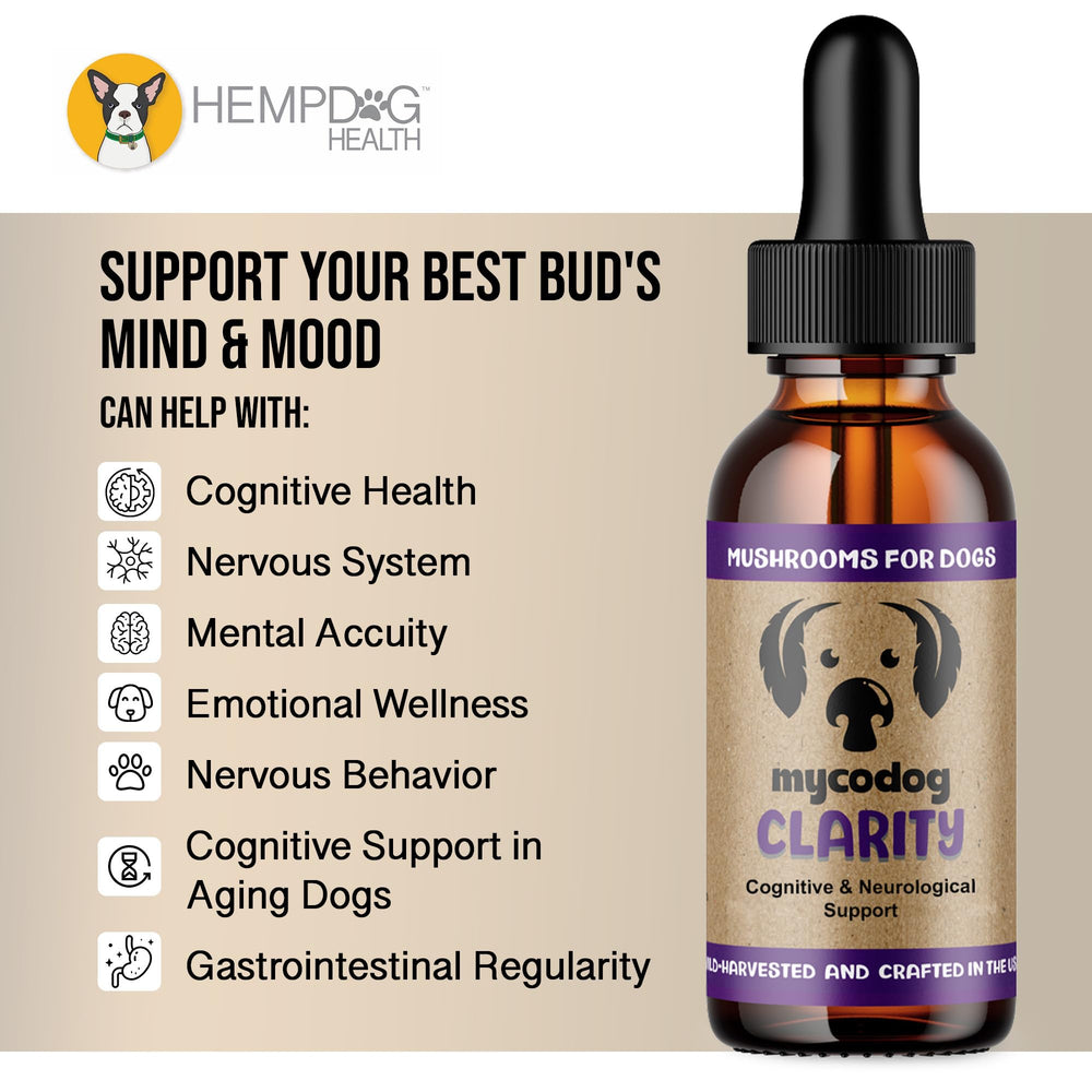 Hemp Dog Health MycoDog Clarity administré à un chien améliore appétence au repas