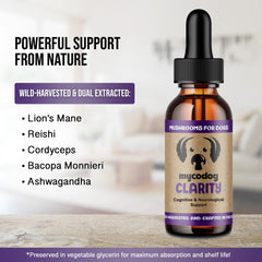 Hemp Dog Health gros plan ingrédients MycoDog Clarity montre champignons naturels bénéfiques