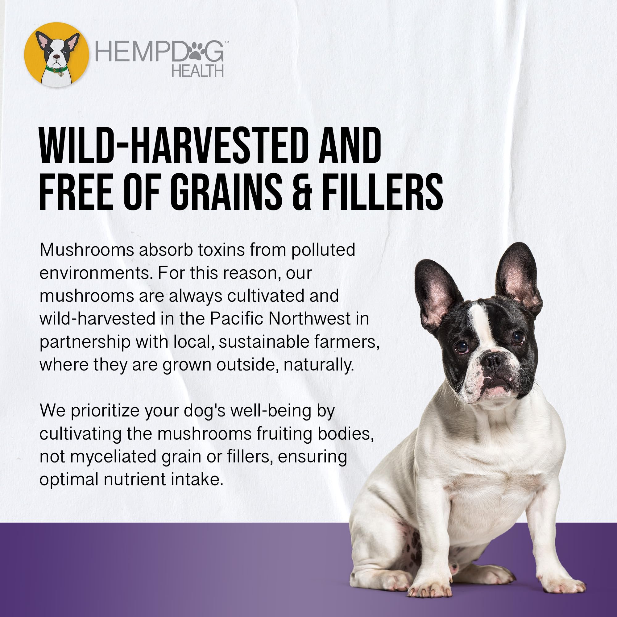 Hemp Dog Health étiquette MycoDog Clarity certifications locales et traçabilité