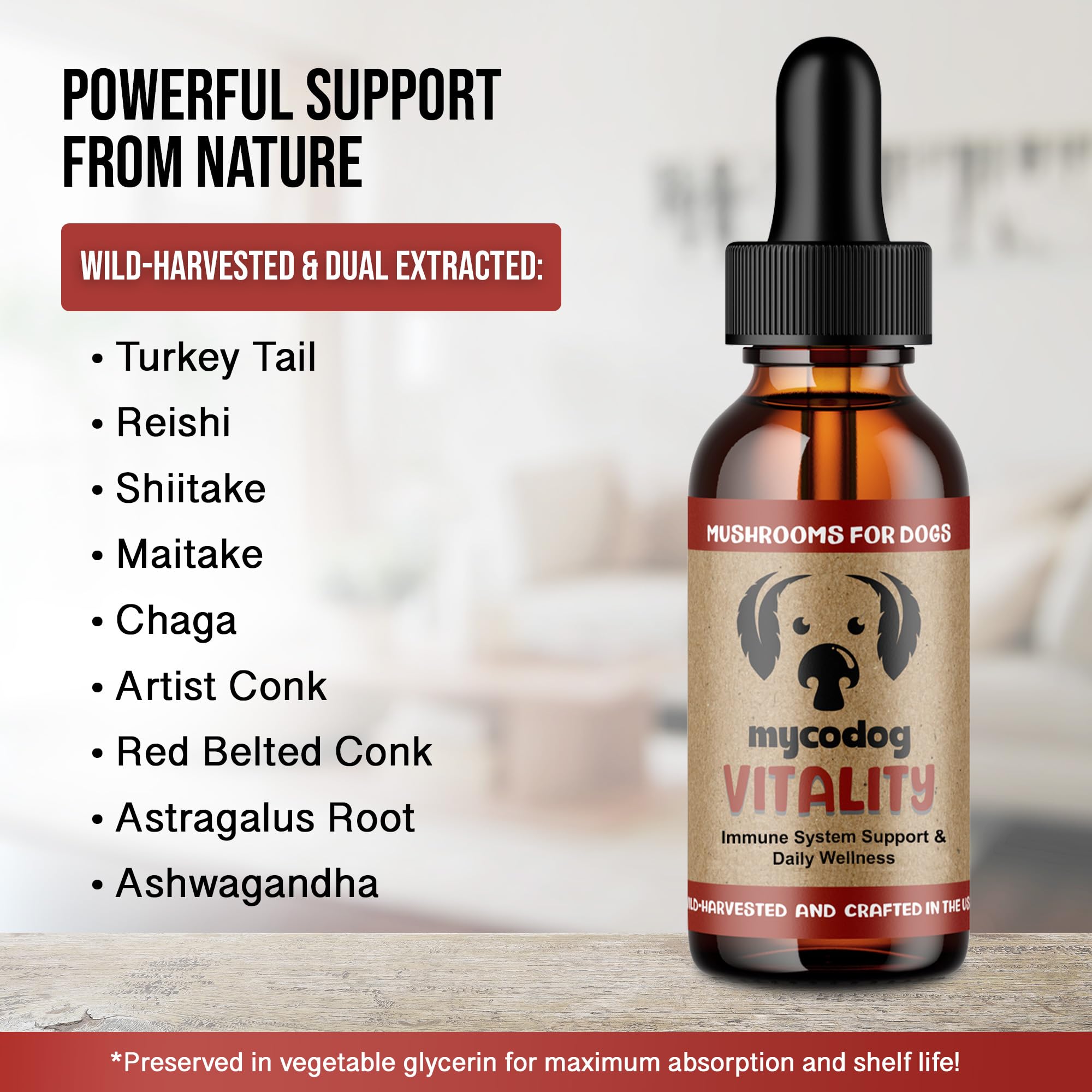 Hemp Dog Health comprimé dans la main pour comparer l'échelle et dosage