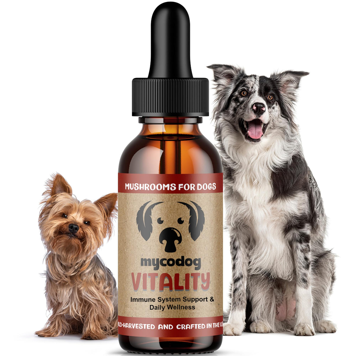 Hemp Dog Health emballage MycoDog Vitality montrant l'étiquette et bénéfices