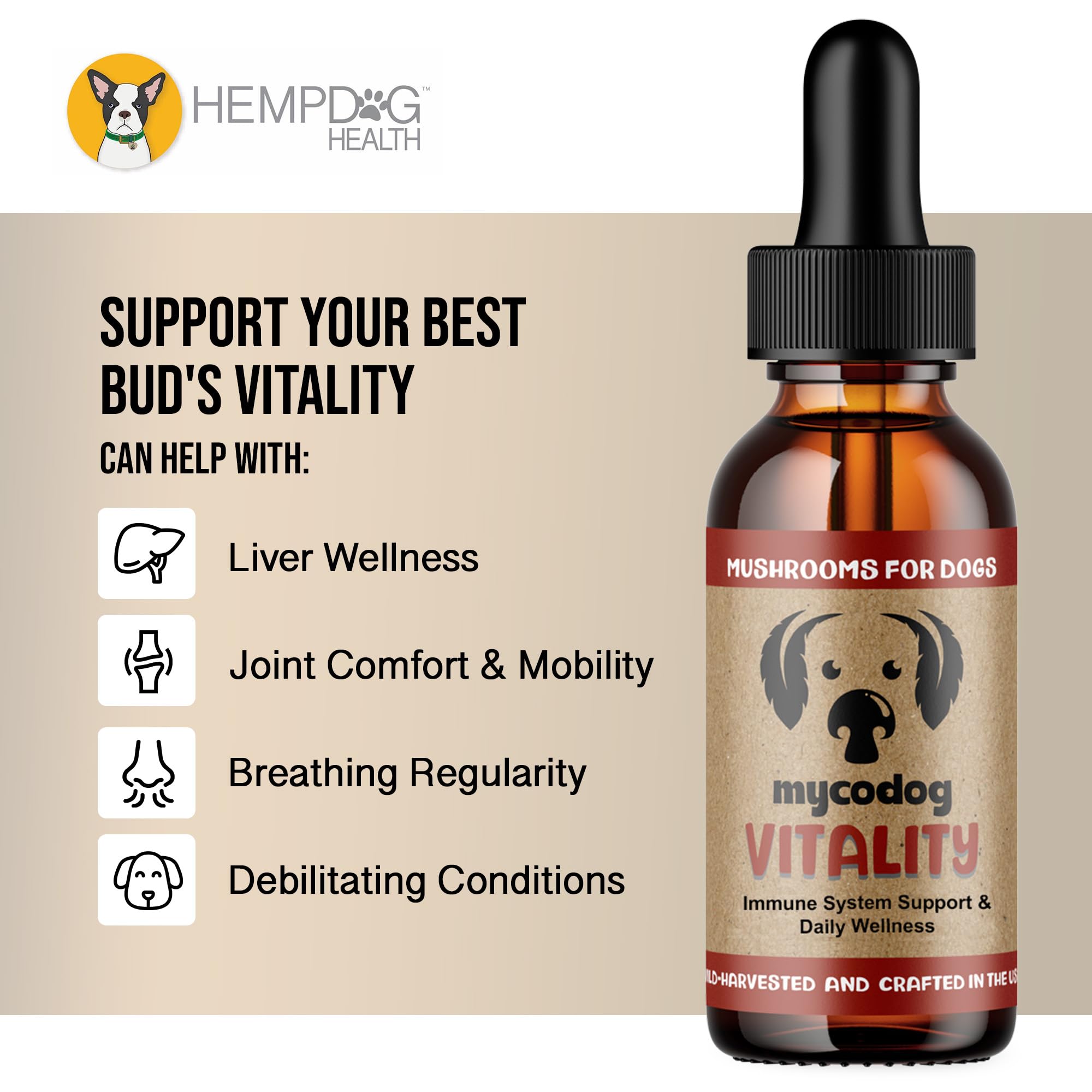 Hemp Dog Health tablette MycoDog Vitality posée pour visualiser forme et taille