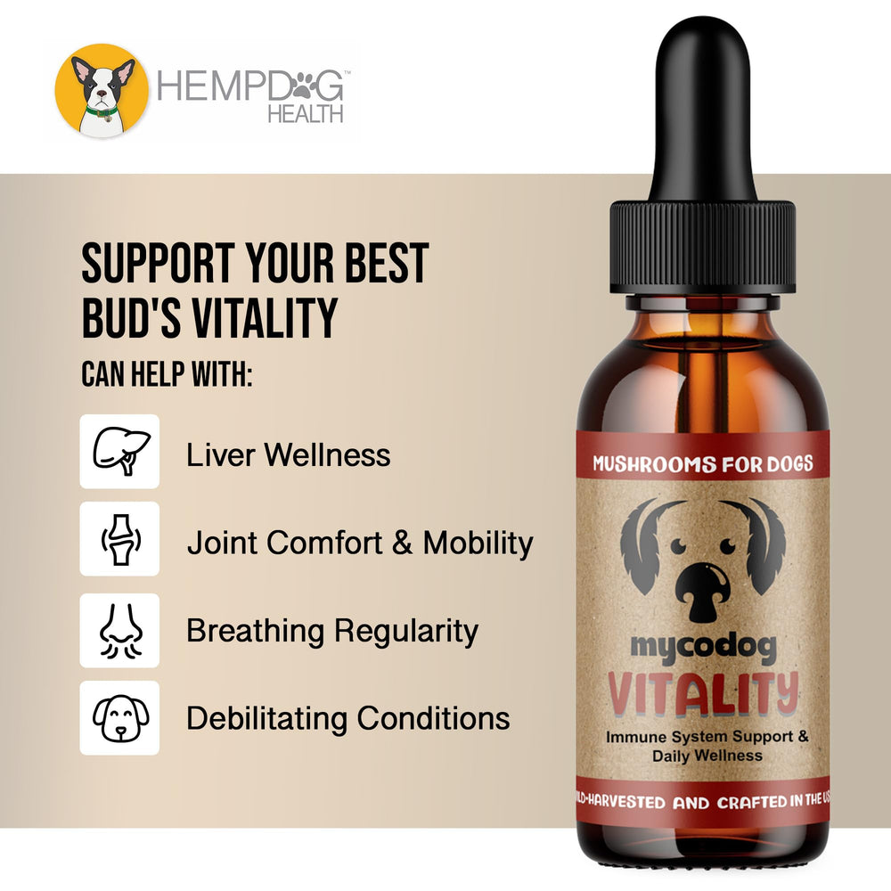 Hemp Dog Health tablette MycoDog Vitality posée pour visualiser forme et taille