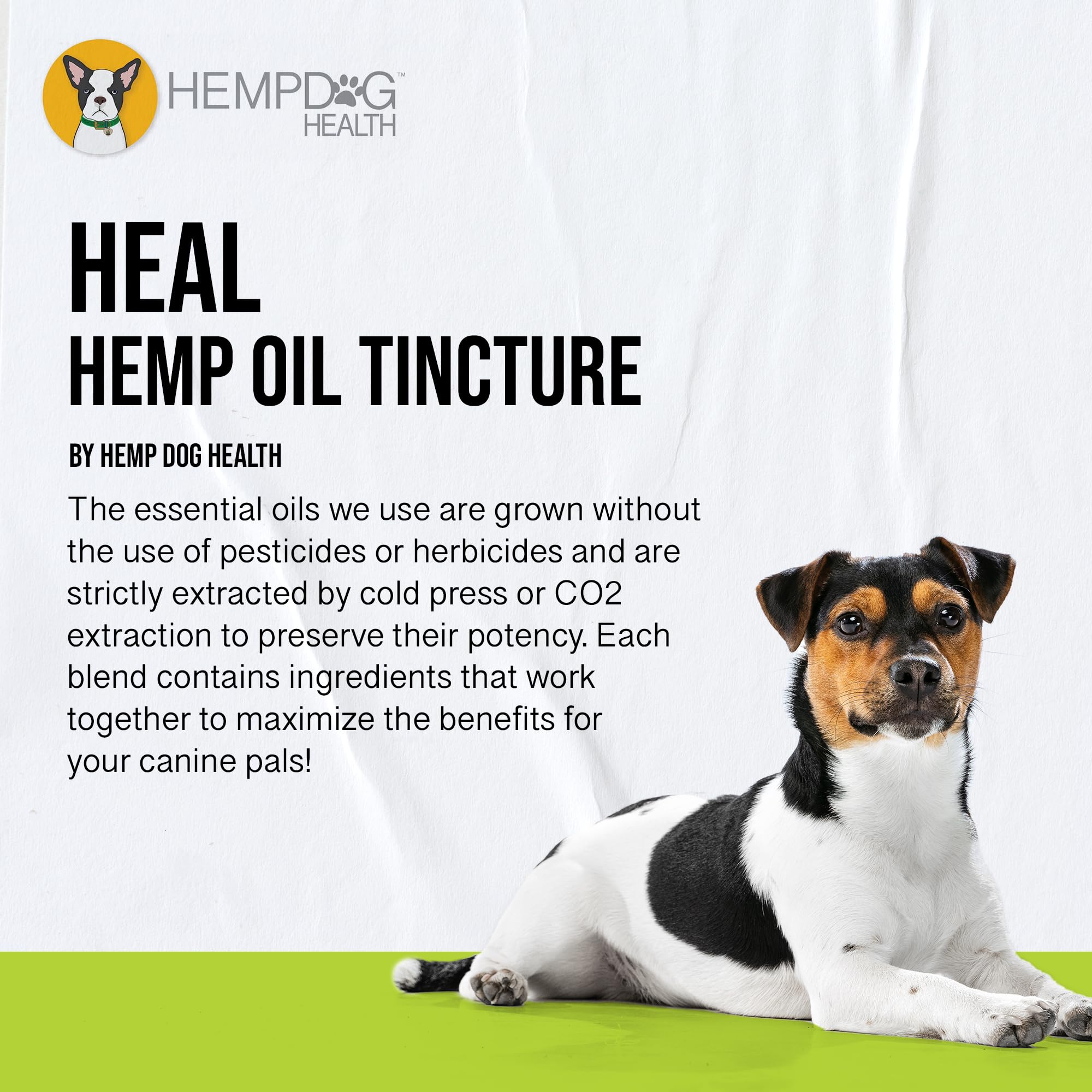 Hemp Dog Health texture huile montrant pureté et absorption rapide