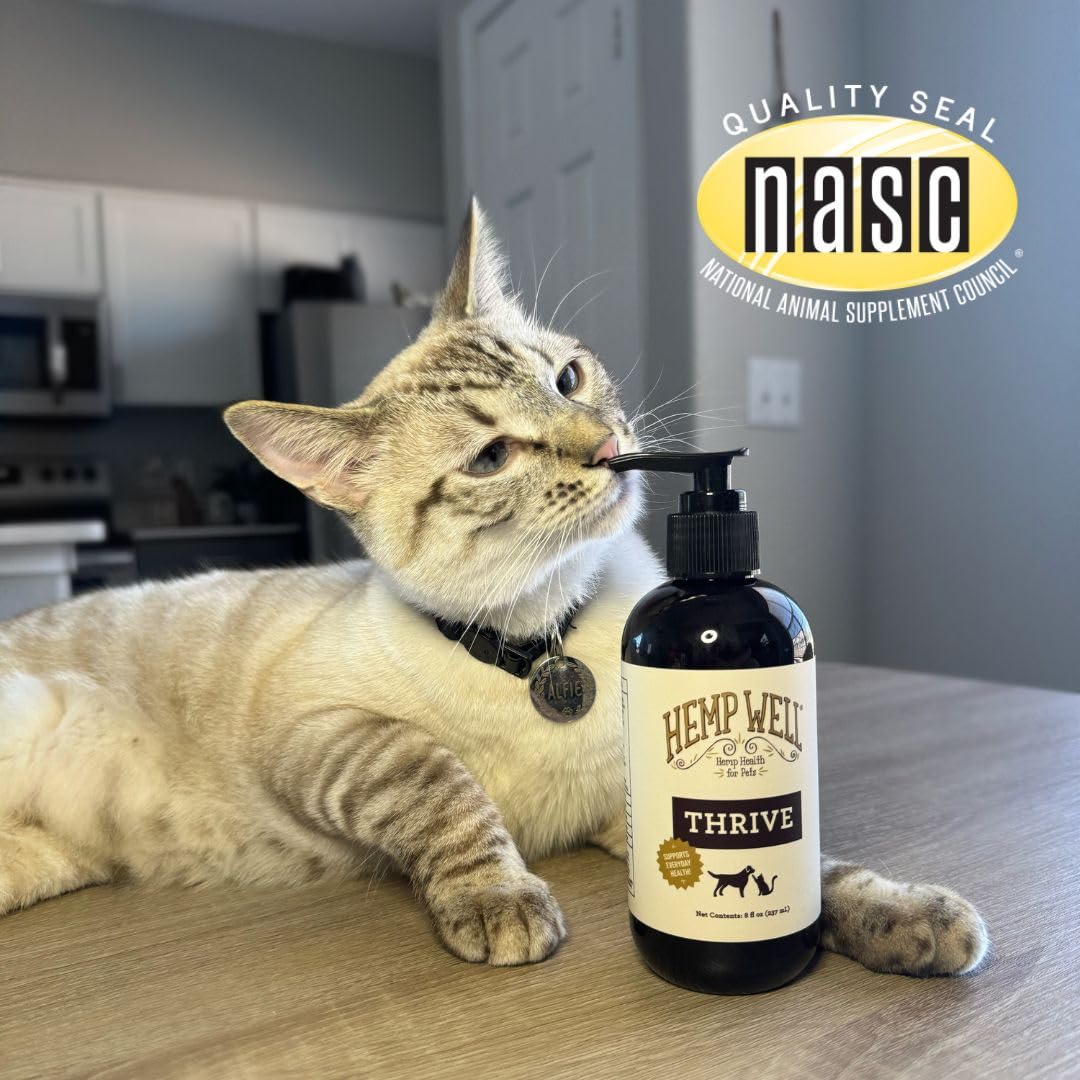 Hemp Well mise en scène domestique chien et chat profitent bien‑être