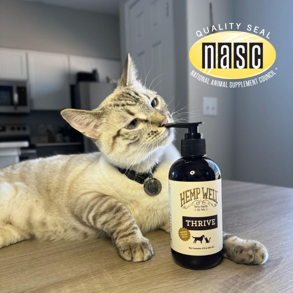 Hemp Well mise en scène domestique chien et chat profitent bien‑être