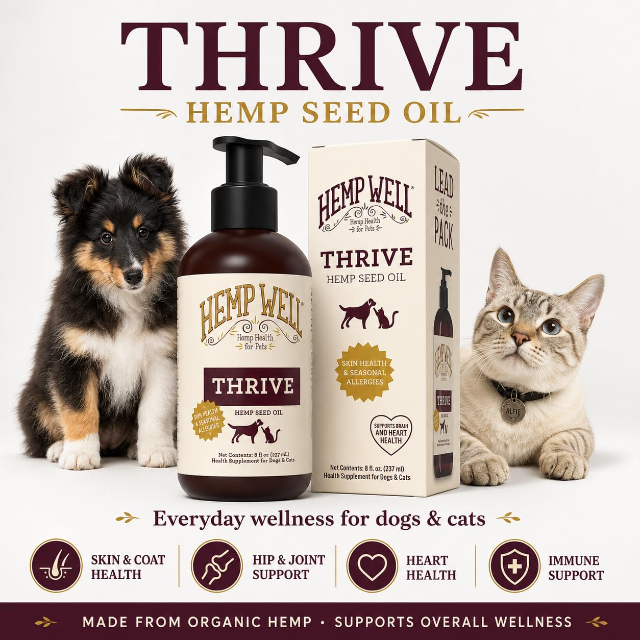 Hemp Well scène de vie chien heureux après administration quotidienne