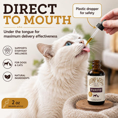 Hemp Well versé sur croquettes de chien pour pelage plus brillant