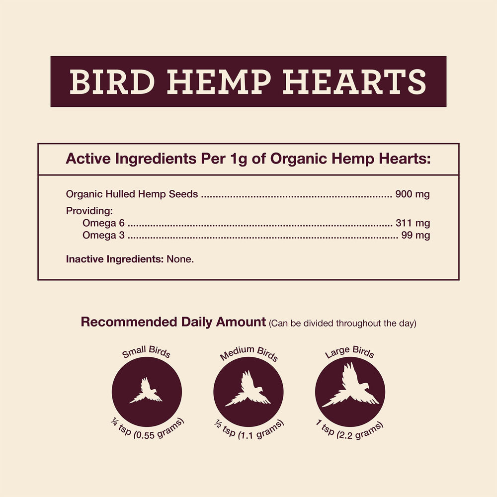 Hemp Well texture gros plan montrant graines décortiquées et facilité d'ingestion
