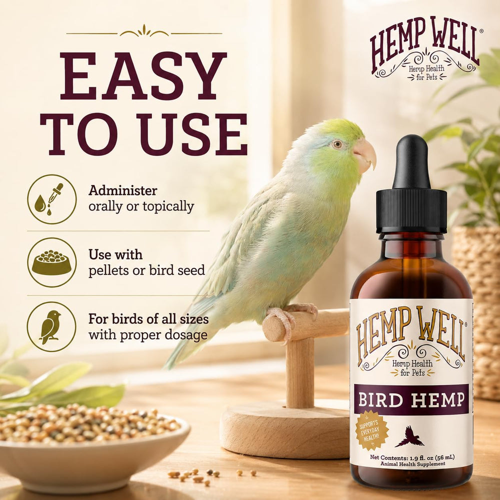 Hemp Well gros plan texture huile pour plumes soyeuses et hydratation