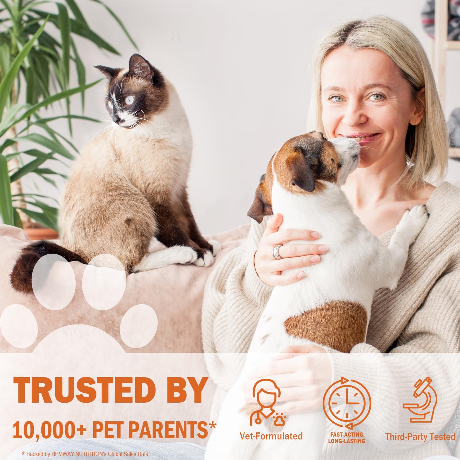 HEMWAY NUTRITION chien détendu sur canapé, illustre effet calmant quotidien