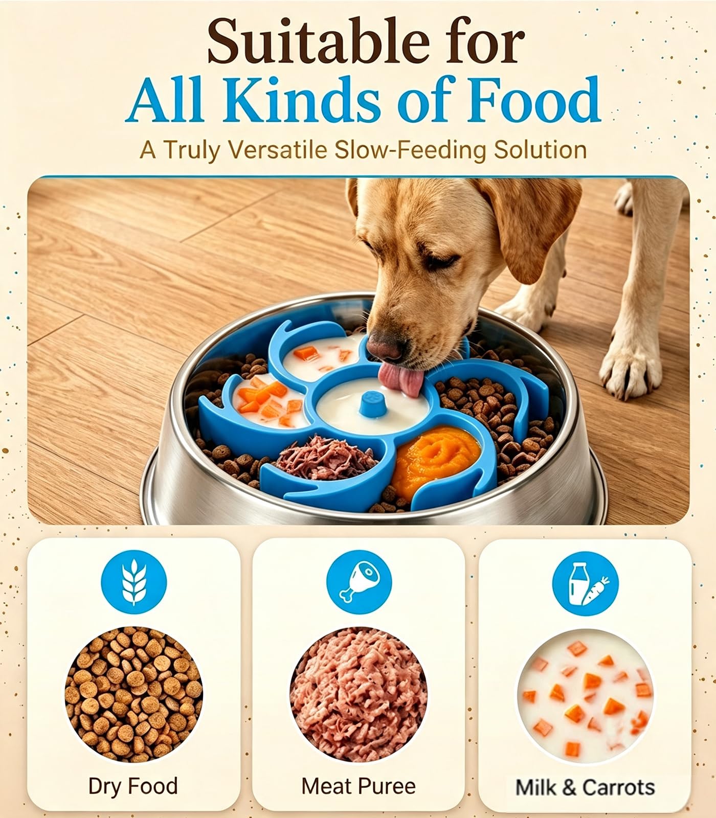 Hengvira lifestyle en cuisine chien mange plus lentement et calmement