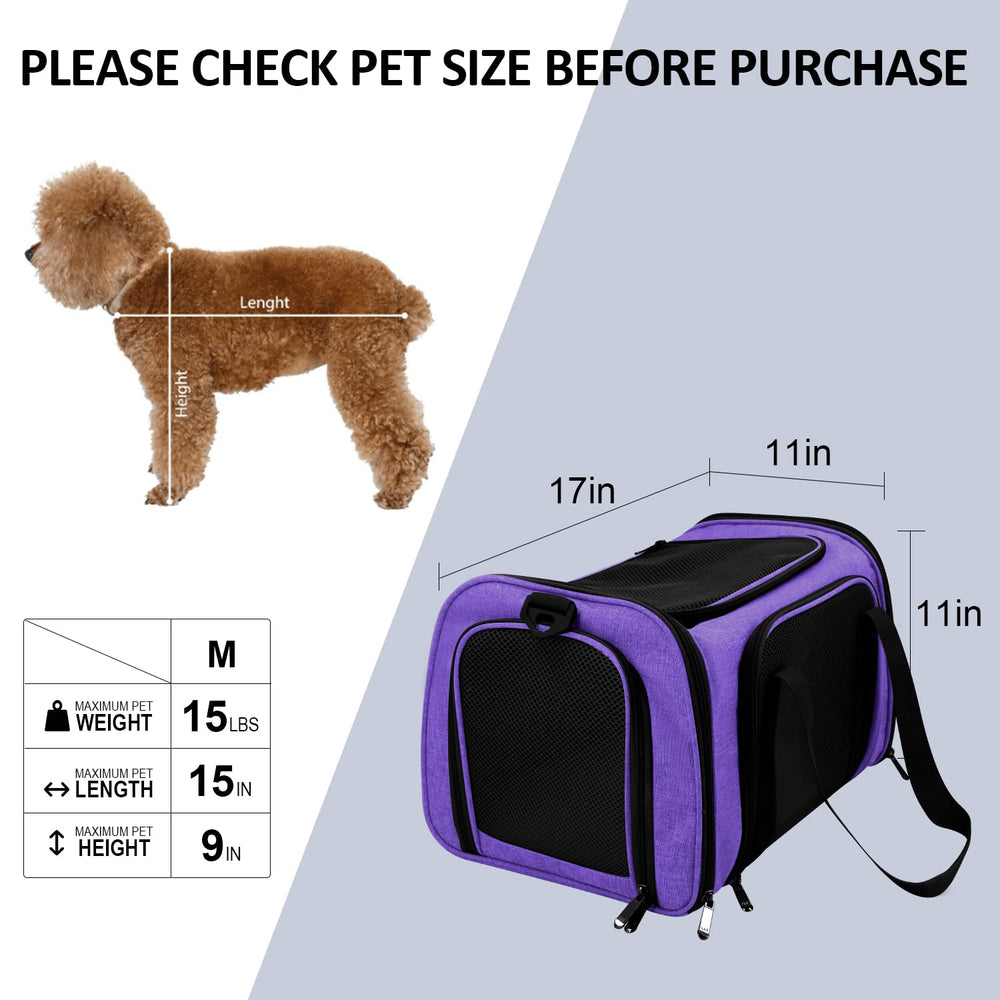 Henkelion sac violet porté en ville par propriétaire montrant mobilité et style