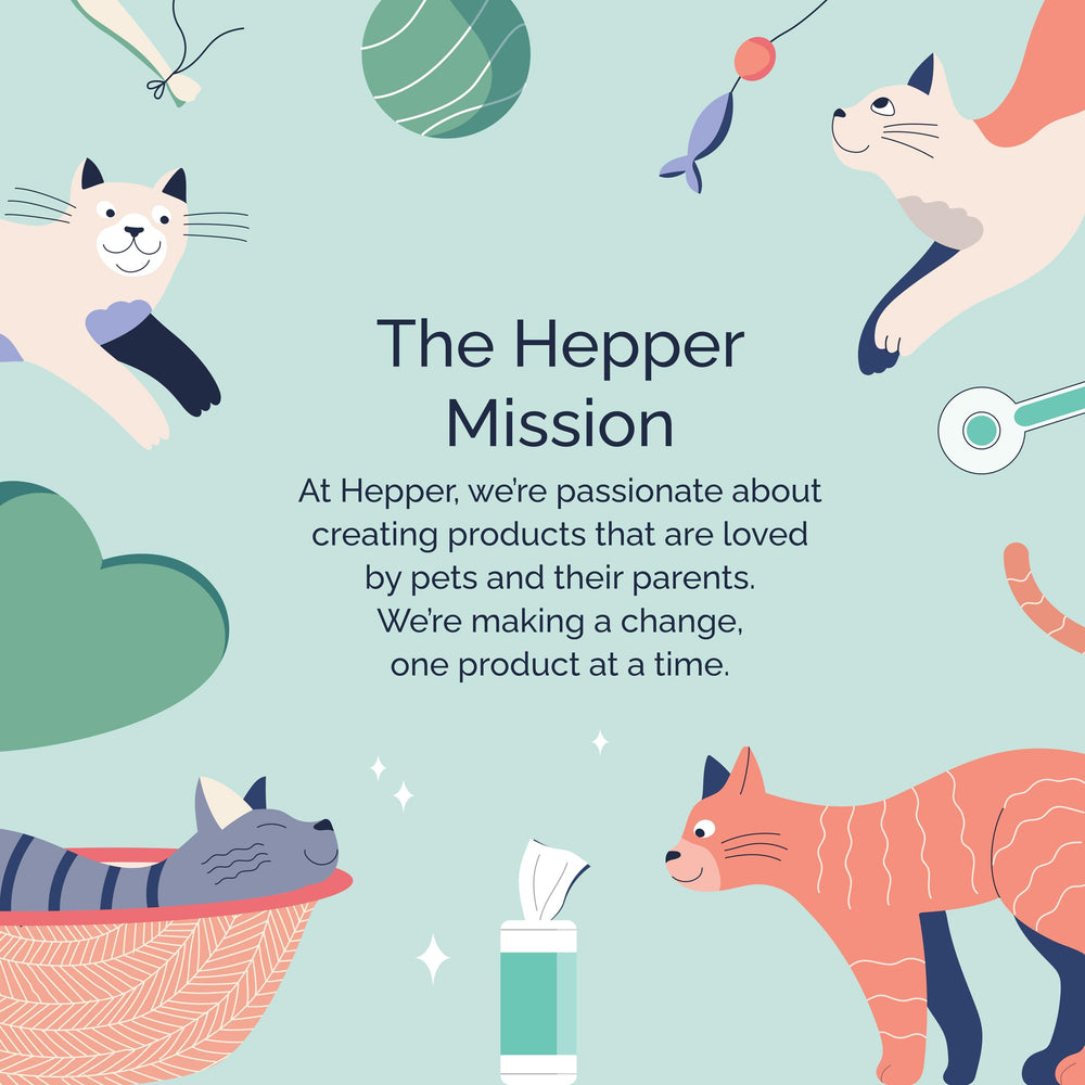 Hepper scène lifestyle chien et chat propres, fraîcheur durable et confort