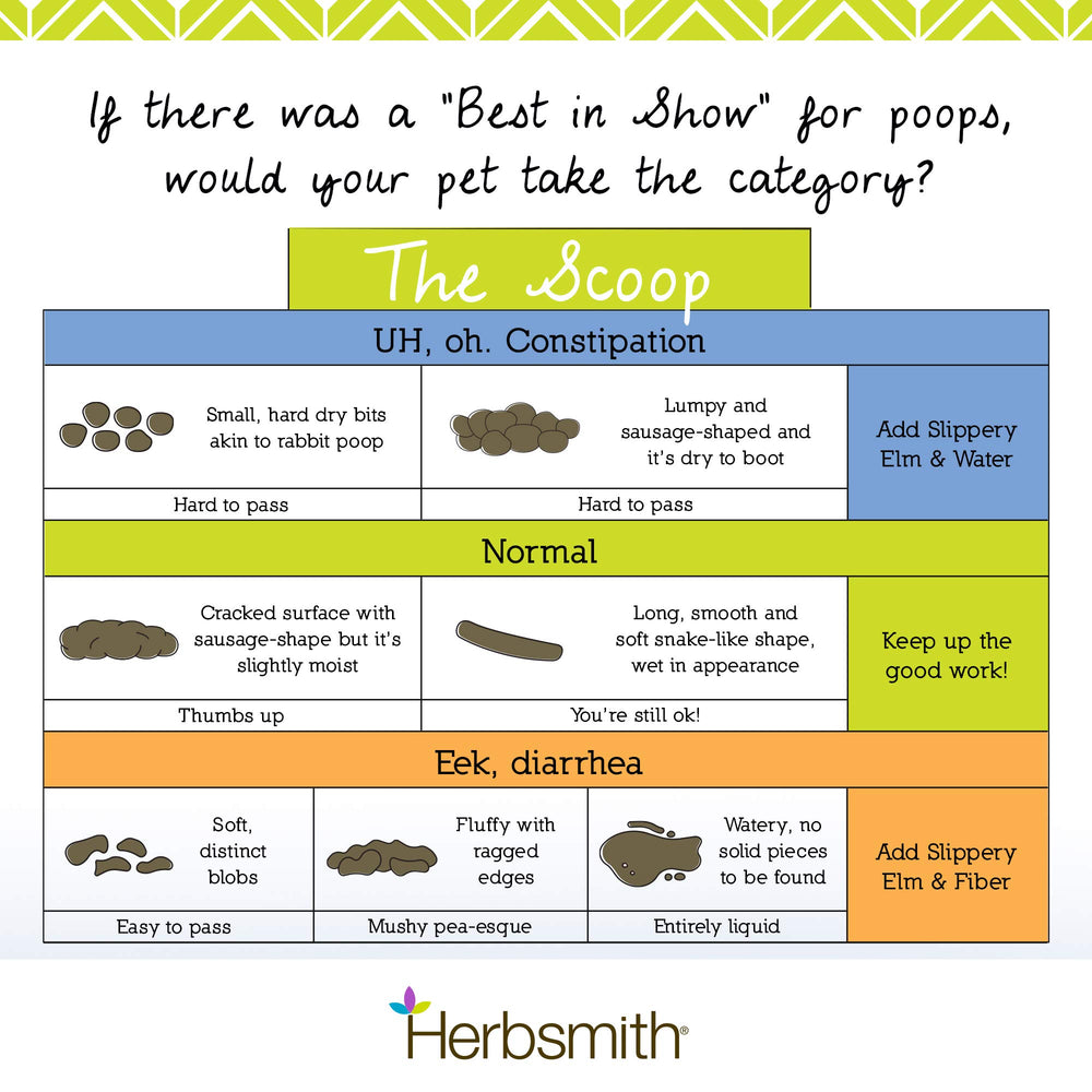 Herbsmith mélangé à croquette, chien mangeant confort amélioré
