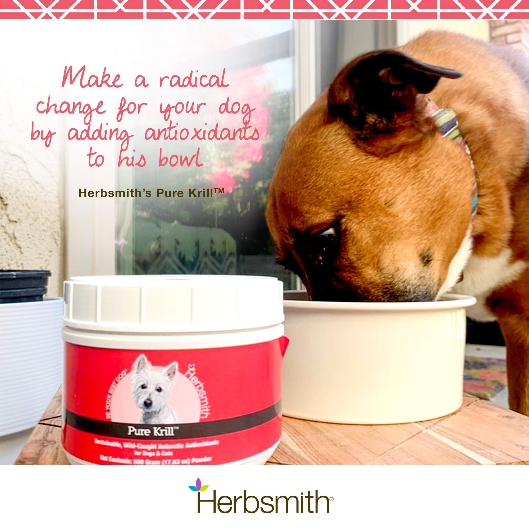 Certificat MSC pour Herbsmith Pure Krill attestant de la pêche durable et traçable