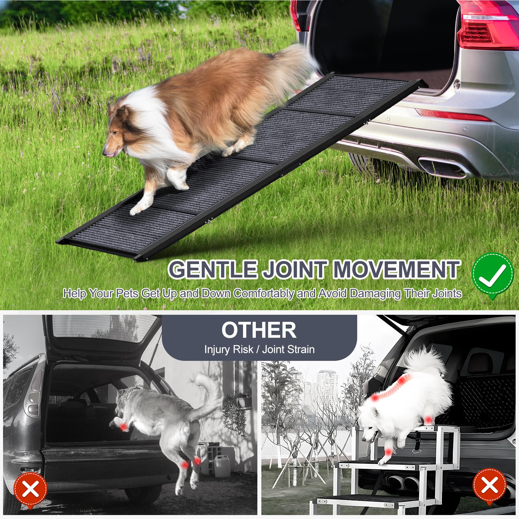HerCcreta wigge rampe en usage sur SUV facilitant montée du chien