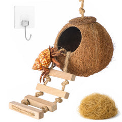 HERCOCCI coque de noix de coco vue avant montrant un abri naturel et sûr