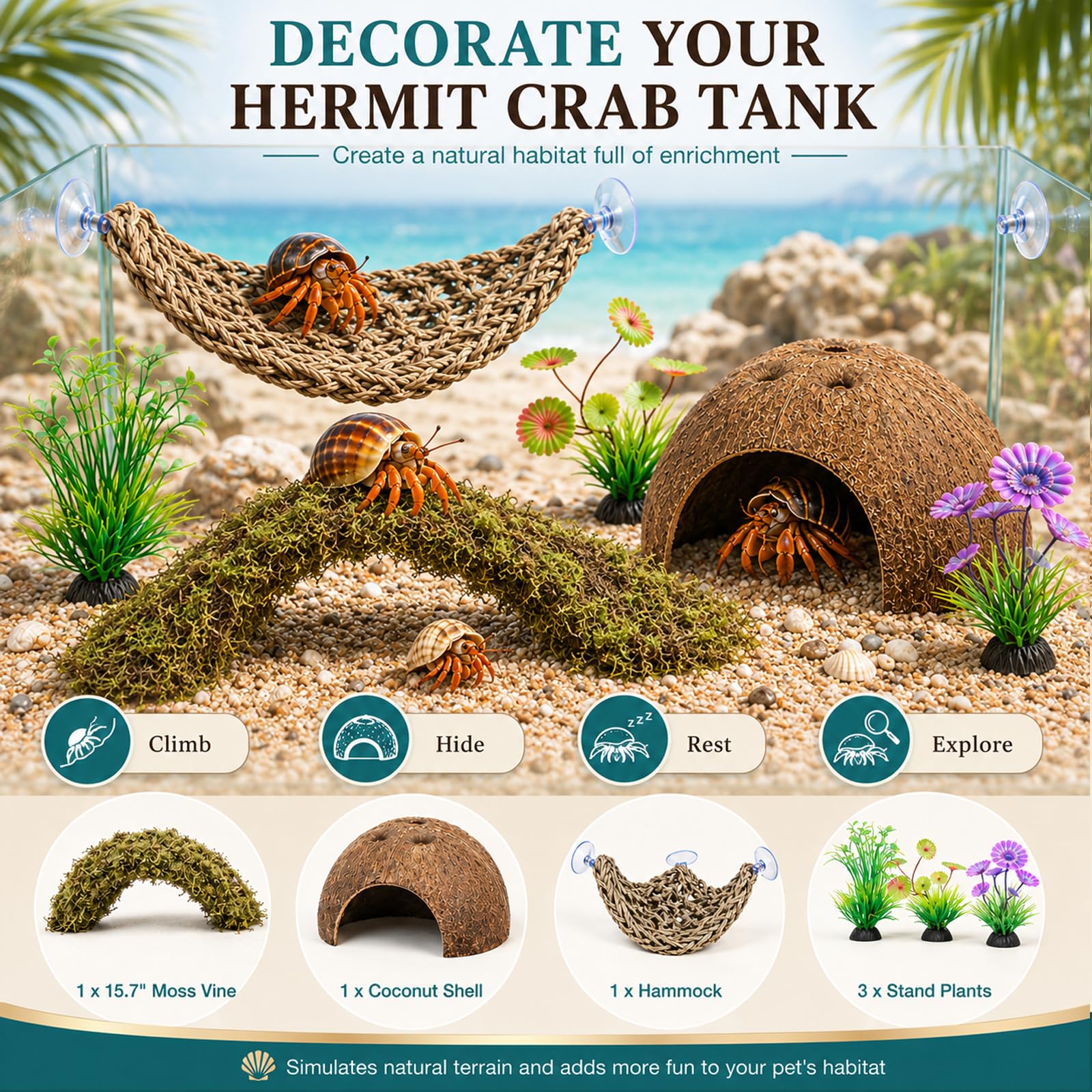 HERCOCCI décor de terrarium en situation créant un habitat naturel attrayant