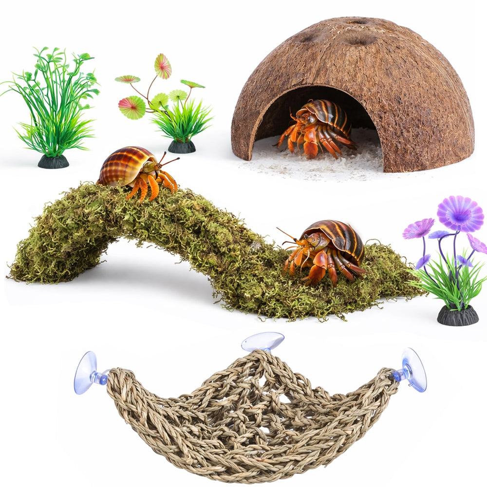 HERCOCCI kit complet disposé dans un terrarium montrant diversité et utilité